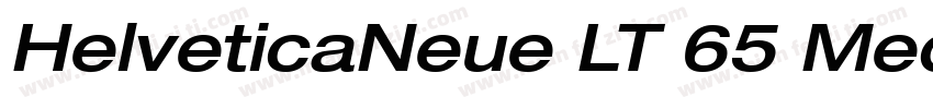 HelveticaNeue LT 65 Medium字体转换